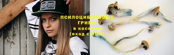 ГАЛЛЮЦИНОГЕННЫЕ ГРИБЫ Зерноград