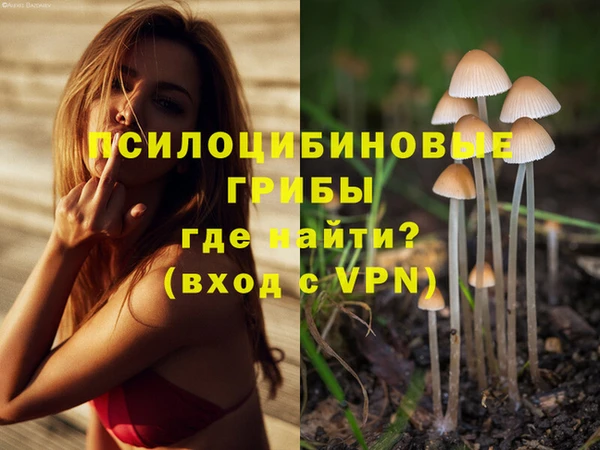 герыч Инта