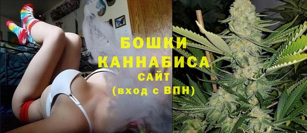 apvp Инсар