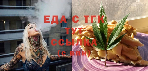 apvp Инсар