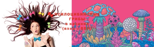 ГАЛЛЮЦИНОГЕННЫЕ ГРИБЫ Зерноград