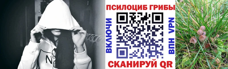 блэк спрут рабочий сайт  Бикин  Псилоцибиновые грибы Cubensis  где можно купить наркотик 